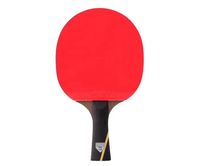 Vợt bóng bàn Huieson X 6 sao
